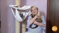 Согреваемся котиками. Доброе утро. Фрагмент выпуска от 30.10.2018