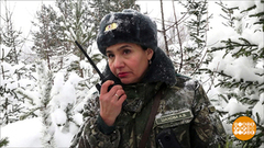 Елочные браконьеры. Доброе утро. Фрагмент выпуска от 10.12.2018