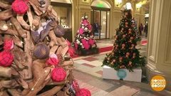 Елки всякие нужны, елки всякие важны! Доброе утро. Фрагмент выпуска от 28.12.2018