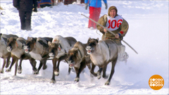 Мы поедем, мы помчимся на оленях утром ранним! Доброе утро. Фрагмент выпуска от 04.03.2019