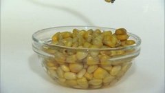 Консервированная кукуруза. Контрольная закупка. Выпуск от 11.12.2015