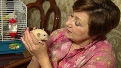 Дамы, не злитесь!