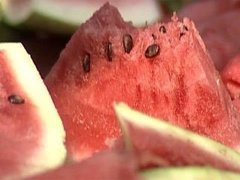 «Среда обитания. Дары осени». Документальный фильм