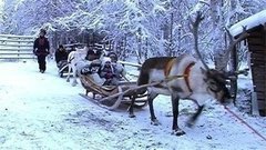 «Среда обитания. Сколько стоит „Золотое кольцо“?» Документальный фильм