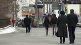 В Центральной России внезапно выпавший снег начал таять