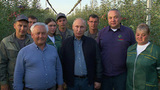 Владимир Путин поздравил работников сельского хозяйства с профессиональным праздником