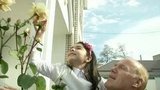 В Карачаево-Черкесии из-за аномально тёплой погоды распустились розы и другие цветы