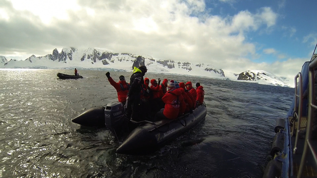 <p>Антарктида</p>