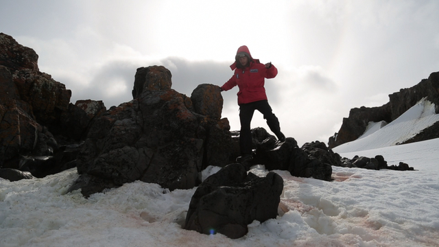 <p>Антарктида</p>