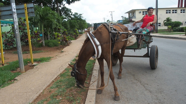 <p>Транспорт на Кубе, по-прежнему, самый разнообразный. Из-за нехватки запчастей следующие по расписанию рейсовые автобусы до сих пор редкость</p>