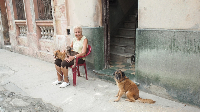 <p>Помимо частной торговли на Кубе существует и другая система получения продуктов — либретто. В пунктах раздачи месячного продовольственного набора можно получить рис, масло, кофе, сахар, фасоль, яйца за мизерные даже по местным меркам деньги</p>