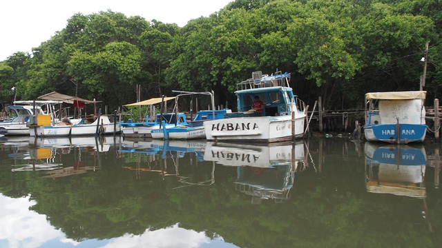 <p>Рыболовство — другая традиционная статья кубинского экспорта. Однако, в последнее время доходы от туризма превышают поступления от производства сахара, рома, сигар, фруктов и ловли рыбы</p>