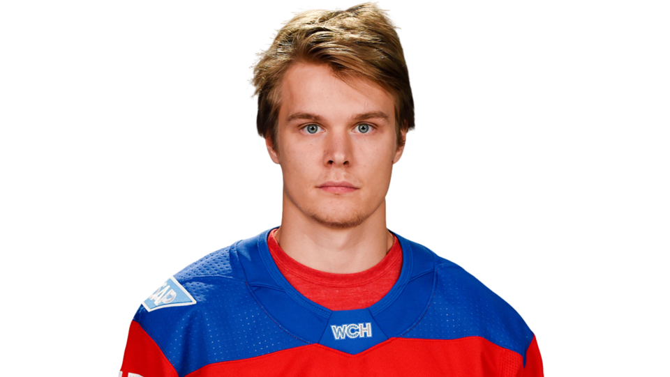 Владислав Наместников нападающий