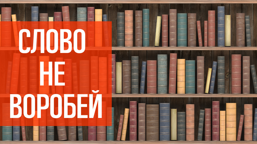 Слово не воробей