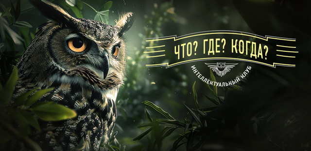 Что? Где? Когда?
