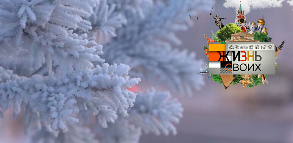 Ямал. Жизнь своих