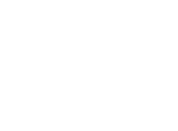 logo-image