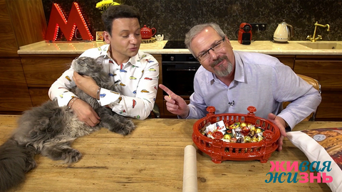 Тайная жизнь домашних животных с Алексеем Лысенковым. Мейн-куны Александра Олешко. Живая жизнь. Фрагмент выпуска от 25.05.2019