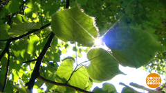 Как пережить жару. Доброе утро. Фрагмент выпуска от 29.05.2019