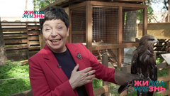 В дорогу с Наташей Барбье. Великий Новгород. Живая жизнь. Фрагмент выпуска от 01.06.2019