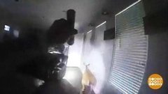 В мире. Вторжение оленя. Доброе утро. Фрагмент от 19.06.2019