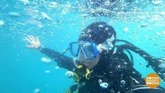 Геленджик: рапаны, дайвинг, селфи на закате. Доброе утро. Фрагмент выпуска от 26.06.2019