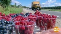 Урожай созрел — продаем излишки! Доброе утро. Фрагмент выпуска от 27.06.2019