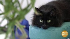 А цветы кто поливать будет? Доброе утро. Фрагмент выпуска от 27.06.2019