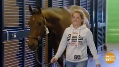 В мире. Лошади и псы в аэропорту. Доброе утро. Фрагмент выпуска от 28.06.2019