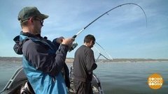 Самые клевые места. Доброе утро. Фрагмент выпуска от 01.07.2019