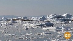 В мире. Таяние льдов. Доброе утро. Фрагмент выпуска от 03.07.2019