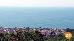 Пусть всегда будет солнце! Доброе утро. Фрагмент выпуска от 04.07.2019