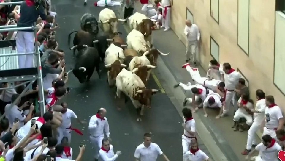 Бык в аэропорту в Барселоне