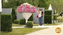 Целое море цветов в «Музеоне». Доброе утро. Фрагмент выпуска от 10.07.2019