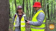 Что взять с собой в лес. Доброе утро. Фрагмент выпуска от 16.07.2019