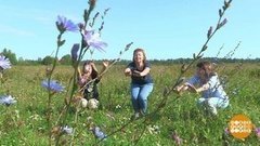 Босиком по росе. Доброе утро. Фрагмент выпуска от 25.07.2019