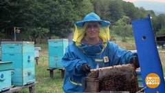 Каштановый мед. Доброе утро. Фрагмент выпуска от 26.07.2019