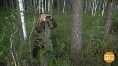 В гости к егерям. Доброе утро. Фрагмент выпуска от 31.07.2019