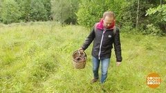 Тихая охота: советы новичкам. Доброе утро. Фрагмент выпуска от 02.08.2019