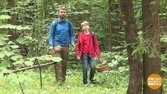 Если вы заблудились. Доброе утро. Фрагмент выпуска от 02.08.2019