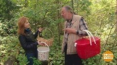 Опята — в ведро, белые — в корзинку? Доброе утро. Фрагмент выпуска от 09.08.2019