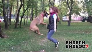 Собака прыгает с хозяйкой через скакалку. Видели видео? Фрагмент выпуска от 11.08.2019