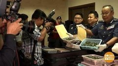 В мире. Контрабанда черепах. Доброе утро. Фрагмент выпуска от 14.08.2019