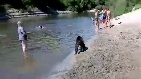 На пляже в Урюпинске искупаться вместе с отдыхающими вышел медведь. Хиты интернета