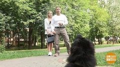 Дмитрий Талабуев и злая собака. Доброе утро. Фрагмент выпуска от 16.08.2019