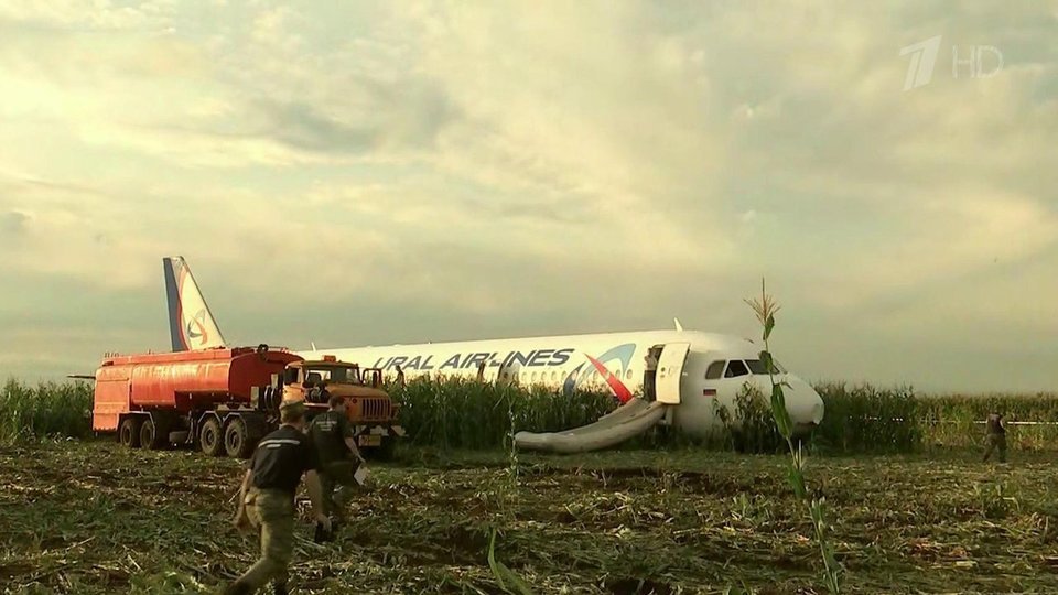 Фото посадки самолета на кукурузное поле