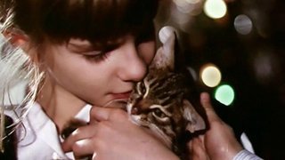 Котенок. Художественный фильм