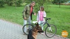 Дмитрий Талабуев против агрессивной собаки. Доброе утро. Фрагмент выпуска от 03.09.2019