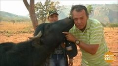 В мире. Борьба с пожарами. Доброе утро. Фрагмент выпуска от 05.09.2019