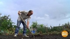 Что посадить в сентябре? Доброе утро. Фрагмент выпуска от 12.09.2019